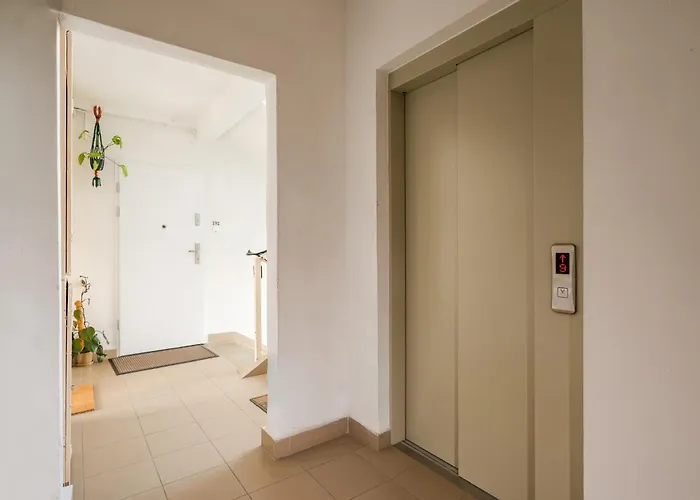 Stawy Brustmana Homly By Bookinghost Daire